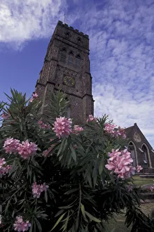 CARIBBEAN, St. Kitts Tropical flowers, old brick church tower CARIBBEAN, St. Kitts Tropical flowers, old brick church tower