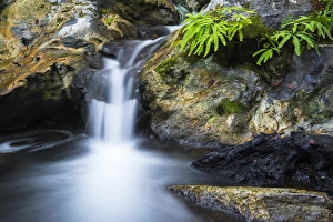 Cascade on Limekiln Creek, Limekiln State Park, Big Sur, California USA Cascade on Limekiln Creek, Limekiln State Park, Big Sur, California USA