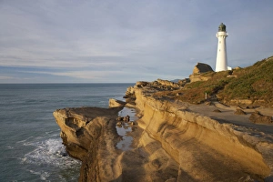 Castle Point Lighthouse Print