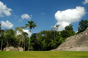 Central America, Belize, Chiquibul Forest Reserve, Caracol. Caracol, Spanish for snail Central America, Belize, Chiquibul Forest Reserve, Caracol. Caracol, Spanish for snail