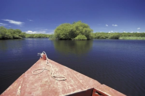 Central America, Guatemala. Chiquimulilla Canal. Runs through Monterrico Nature Preserve Central America, Guatemala. Chiquimulilla Canal. Runs through Monterrico Nature Preserve