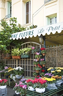 Charming flower shop. Beaulieu sur Mer. on the coastline in the South of France Charming flower shop. Beaulieu sur Mer. on the coastline in the South of France