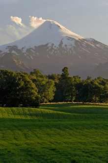 Chile. South America. Pasture in Rio Liucura valley Chile. South America. Pasture in Rio Liucura valley