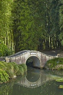 Chinese Scholars Garden, Hamilton Gardens, Hamilton, Waikato, North Island Chinese Scholars Garden, Hamilton Gardens, Hamilton, Waikato, North Island