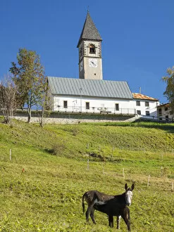 Agordino Collection: The church. Village Sappade, traditional alpine architecture in valley Val Biois, Italy
