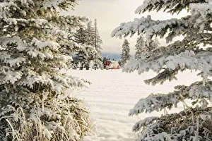 Classic red barn and snow scene, Kalispell, Montana Classic red barn and snow scene, Kalispell, Montana