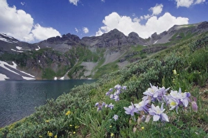 Clear Lake with wildflowers in alpine meadow, Blue Columbine, Colorado Columbine Clear Lake with wildflowers in alpine meadow, Blue Columbine, Colorado Columbine