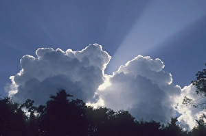 Cloudy Weather Prints: Clouds