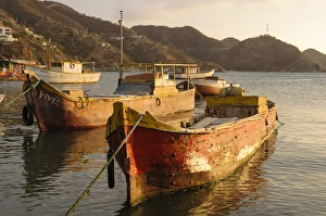 Colombia, Taganga. Fishing boats in harbor at sunset Colombia, Taganga. Fishing boats in harbor at sunset