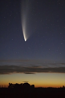 Comet McNaught, Ashburton, South Island, New Zealand Comet McNaught, Ashburton, South Island, New Zealand