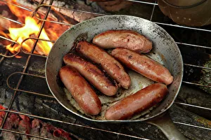 Cooking sausages on a campfire, Central Otago, South Island, New Zealand Cooking sausages on a campfire, Central Otago, South Island, New Zealand