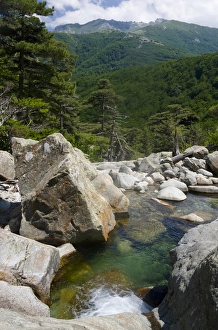 Corsica. France. Europe.. Pool of clear water & granite boulders below forest of Corsica. France. Europe.. Pool of clear water & granite boulders below forest of