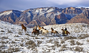 Cowboys with horses on the range on The Hideout Ranch in Shell Wyoming. (Multiple values) Cowboys with horses on the range on The Hideout Ranch in Shell Wyoming. (Multiple values)