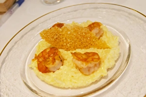 A creamy risotto with confit lemon and thyme grilled scampis on a glass plate with A creamy risotto with confit lemon and thyme grilled scampis on a glass plate with