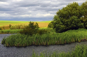 Creek on Farm in Palouse Area, Whitman County, Washington, USA Creek on Farm in Palouse Area, Whitman County, Washington, USA