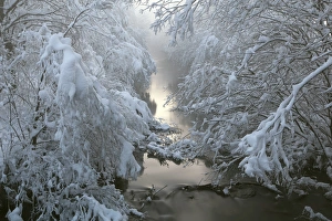 Creek Kleine Ach in the Lermooser Moos wetlands after sunset during winter with deep snow Creek Kleine Ach in the Lermooser Moos wetlands after sunset during winter with deep snow