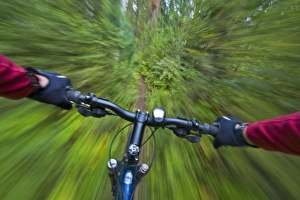 Cruising down a buff section of singletrack trail from the riders perspective near Cruising down a buff section of singletrack trail from the riders perspective near