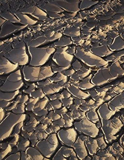 American Desert Scenes Prints: CTF-0845