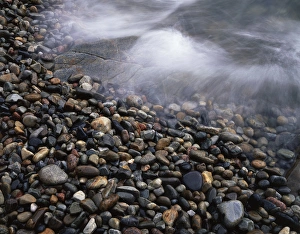 Maine Coastline Photography Prints: CTF-1101