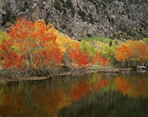 Tranquil Lake Scenes Prints: CTF-1388