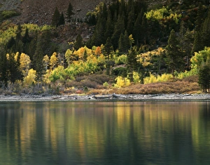 Natural Scenery Photography Prints: CTF-1398