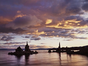 Serene Water Scene Prints: CTF-1569