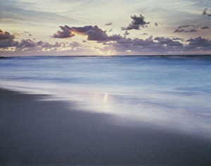 Peaceful Ocean View Prints: CTF-1745
