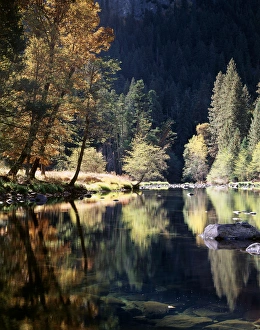 Calm Water Reflection Prints: CTF-227