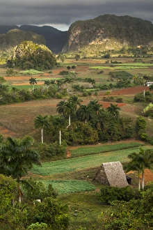 Cuba, Vinales. An elevated view over the valley and its fields and farms Cuba, Vinales. An elevated view over the valley and its fields and farms