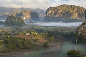 Cuba, Vinales. Morning fog blankets the Vinales valley, a farming region rich in tobacco Cuba, Vinales. Morning fog blankets the Vinales valley, a farming region rich in tobacco