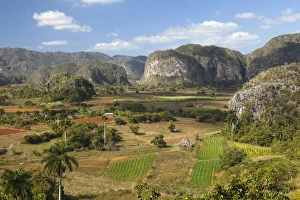 Cuba, Vinales. A view looking over the rich lands of the valley Cuba, Vinales. A view looking over the rich lands of the valley