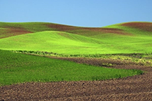 Cultivation Patterns, Palouse, Whitman County, Washington, USA Cultivation Patterns, Palouse, Whitman County, Washington, USA