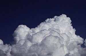 Cumulus Cloud Photography Prints: This is the top of a cumulus cloud