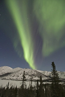Curtains of aurora borealis dance across the sky over Grayling Lake on the South Curtains of aurora borealis dance across the sky over Grayling Lake on the South