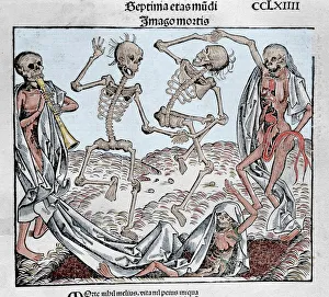 The Dance of Death (1493) by Michael Wolgemut, from the Liber chronicarum by Hartmann Schedel The Dance of Death (1493) by Michael Wolgemut, from the Liber chronicarum by Hartmann Schedel