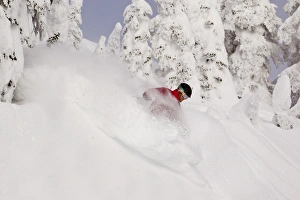 David Downing skis powder at Whitefish Mountain Resort in Whitefish, Montana, USA MR David Downing skis powder at Whitefish Mountain Resort in Whitefish, Montana, USA MR