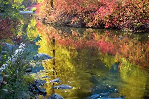 Usa/washington/deep fall colors wenatchee river stevens pass Usa/washington/deep fall colors wenatchee river stevens pass