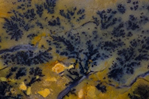 Macro Mineral Photography Prints: Dendritic Jasper