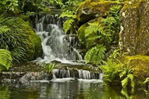 Detail, Heavenly Falls, Lower Pond, Strolling Garden, Portland Japanese Garden, Portland Detail, Heavenly Falls, Lower Pond, Strolling Garden, Portland Japanese Garden, Portland