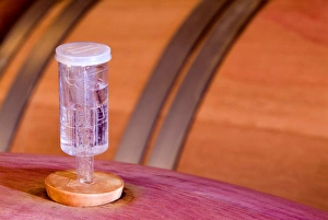 A device that allows the CO2 (Carbon Dioxide) to escape the wine barrel and not allow A device that allows the CO2 (Carbon Dioxide) to escape the wine barrel and not allow