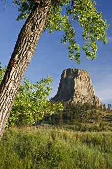 Devils Tower National Monument Prints: Devils Tower, Devils Tower National Monument, Wyoming