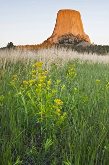 Devils Tower National Monument Prints: Devils Tower National Monument, Wyoming at sunset, spring