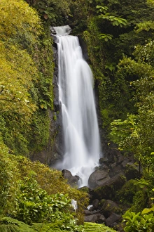 Dominica, Roseau, Roseau Valley, Trafalgar Falls Dominica, Roseau, Roseau Valley, Trafalgar Falls