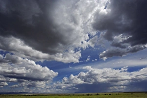 Dramatic sky over grassy plains of the Masai Mara, Kenya Dramatic sky over grassy plains of the Masai Mara, Kenya