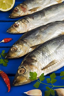 Dried and smoked Atlantic herring (Clupea harengus) Dried and smoked Atlantic herring (Clupea harengus)