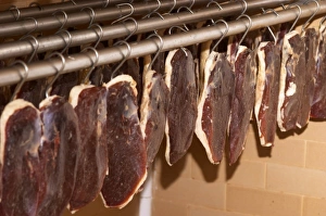 Ducks breast (magret or filet de canard) hanging on hooks in a temperature controlled Ducks breast (magret or filet de canard) hanging on hooks in a temperature controlled