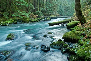 The Dungeness River in Olympic National Park, Washington The Dungeness River in Olympic National Park, Washington