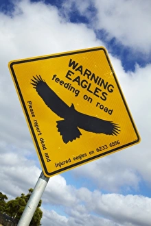 Eagle Warning Sign, Bass Highway near Smithton, Northern Tasmania, Australia Eagle Warning Sign, Bass Highway near Smithton, Northern Tasmania, Australia