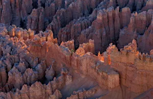 Early morning light on hoodoos at Bryce National Park, Utah Early morning light on hoodoos at Bryce National Park, Utah