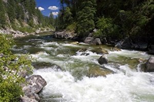 The East Fork of the South Fork of the Salmon River near Yellow Pine, Idaho The East Fork of the South Fork of the Salmon River near Yellow Pine, Idaho